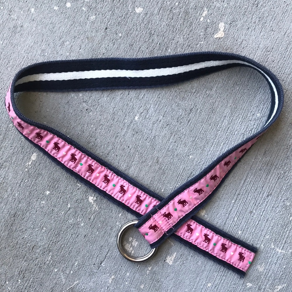 Abercrombie & Fitch Belt